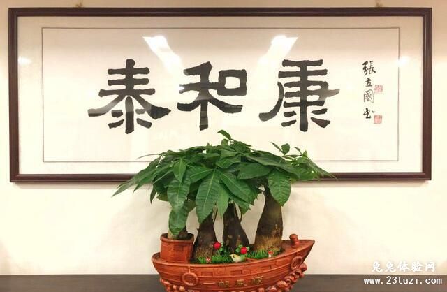 泰和康经络养生馆