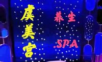 虞美宫